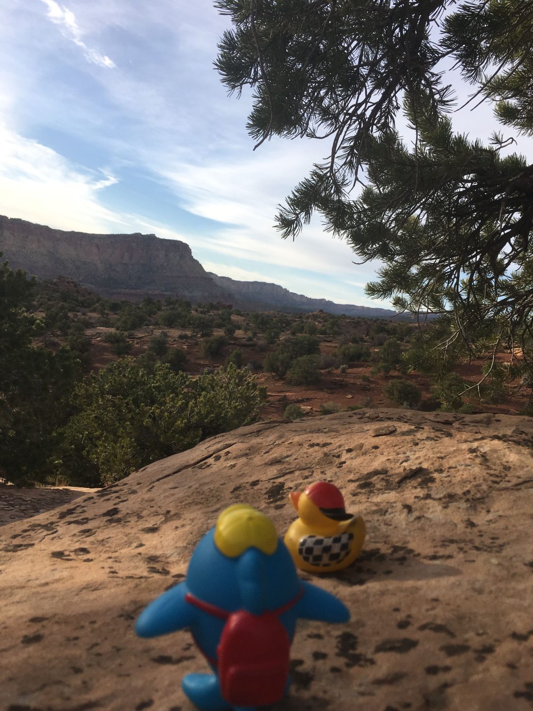 Old Wagon Trail at Capitol Reef.