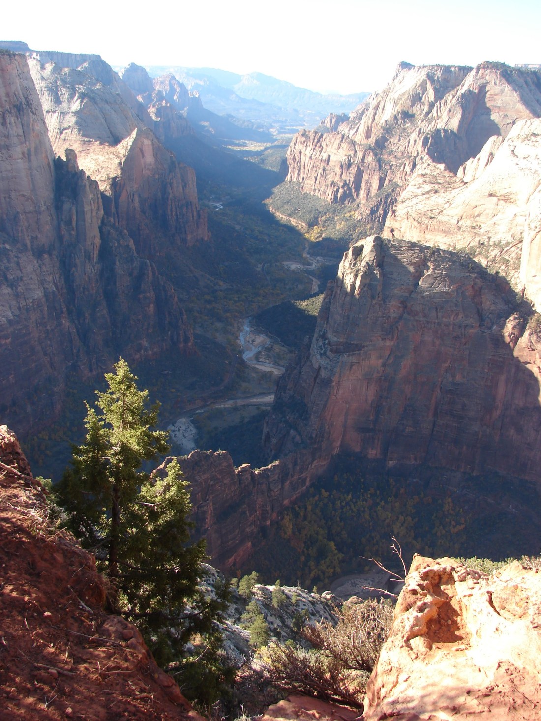 Observation Point at Zion.