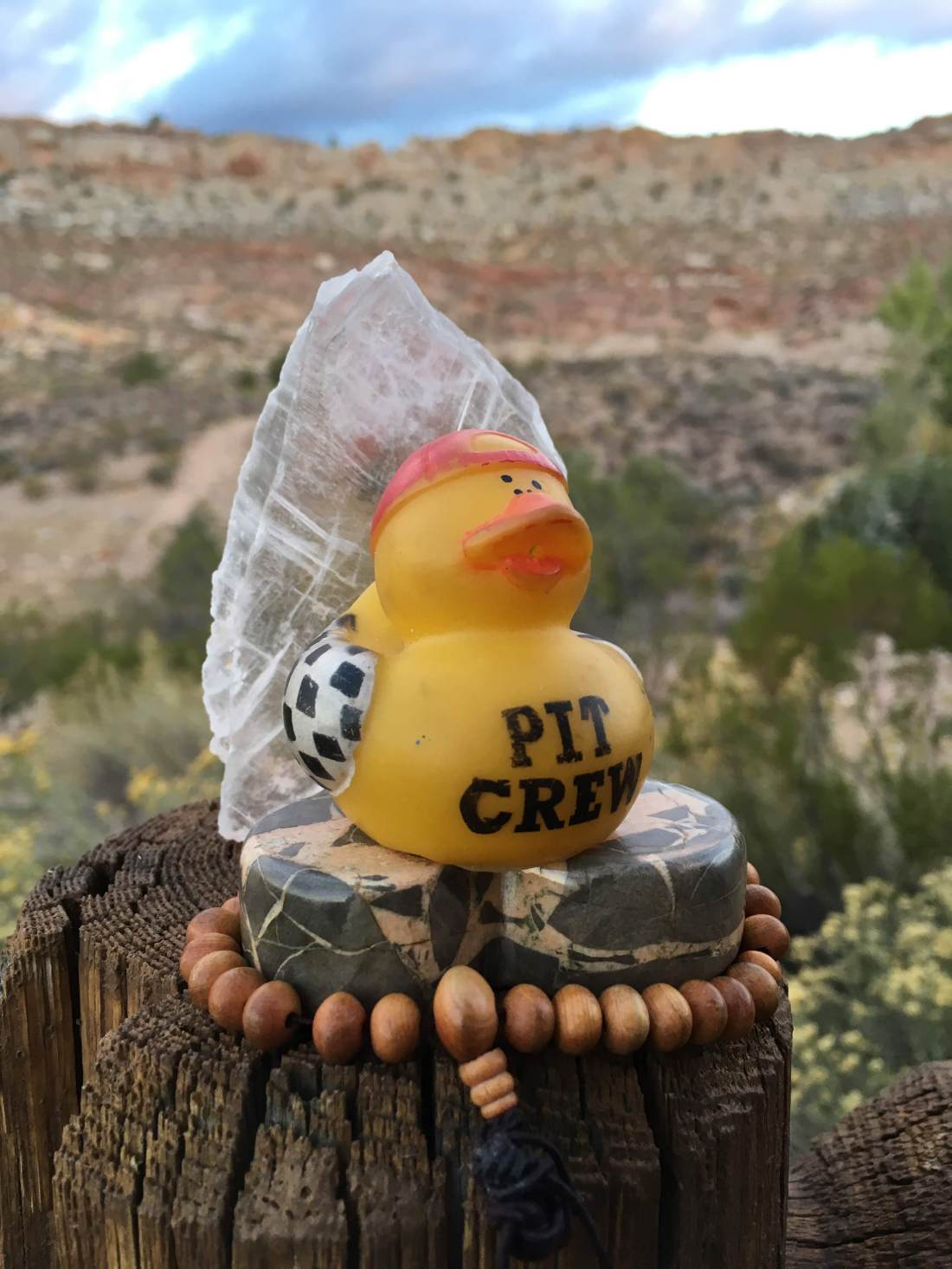 Rubber Ducky Buddha of Joliet.