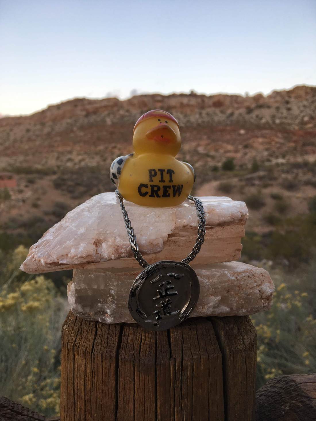 Rubber Ducky Buddha of Joliet with Enso