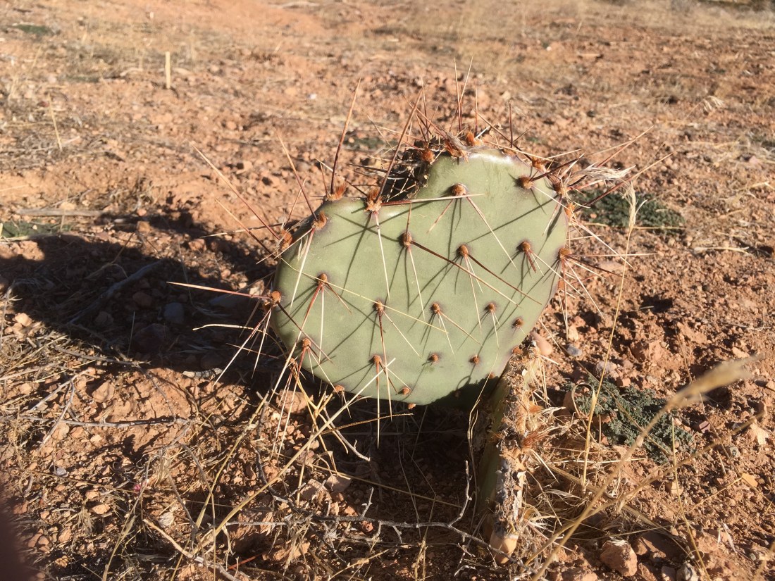 Heart Sutra confirming we're on the right path.