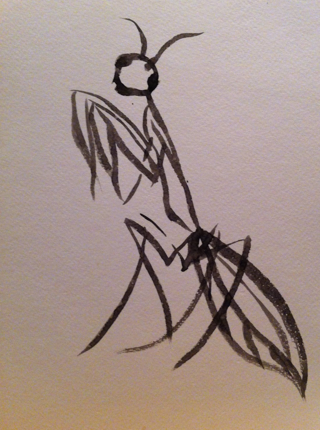 Praying mantis zen art.