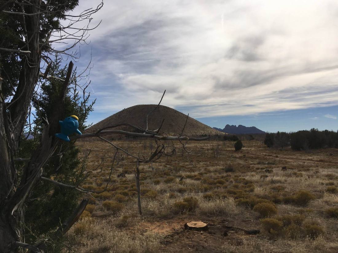 nov-9-day-i-met-fishnu