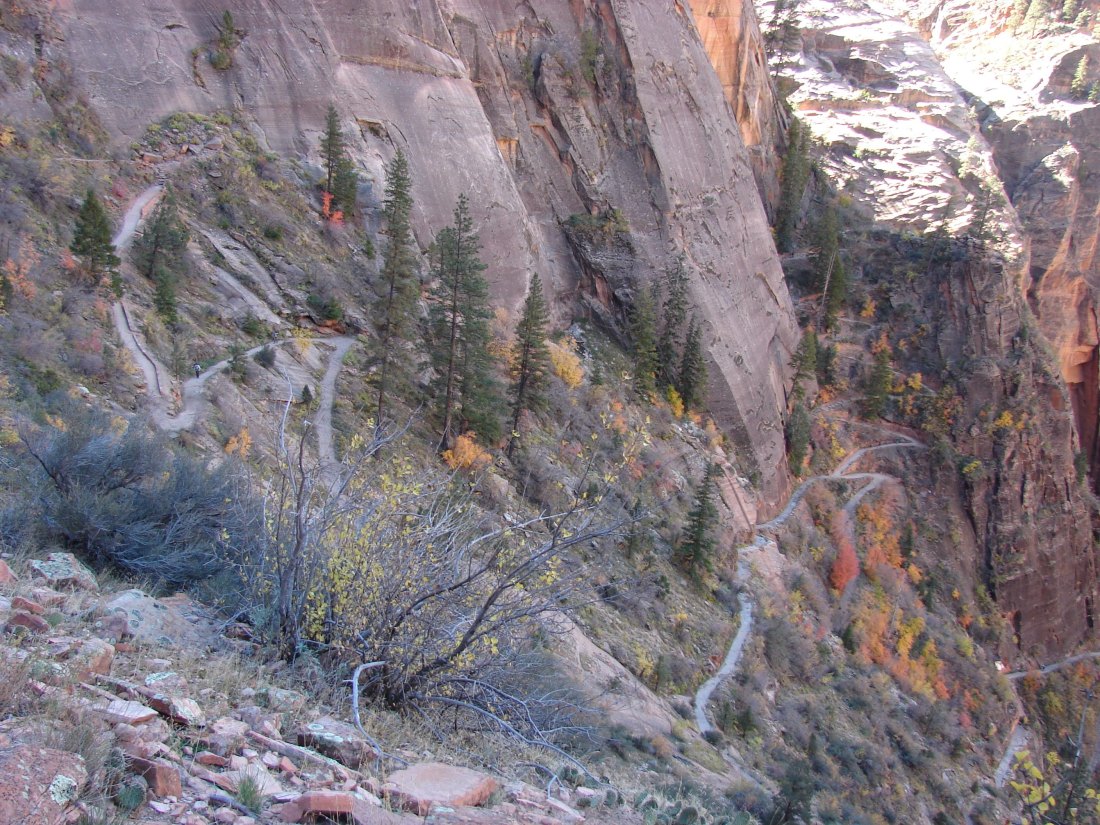 zion_observation_point