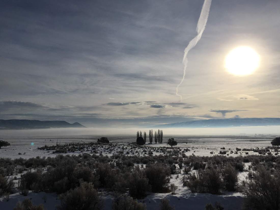 end_of_bodhi_season_2018