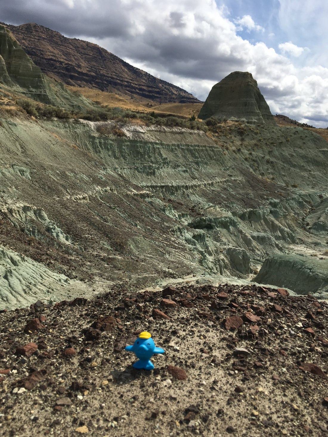 Zen from a Software Developer's Point of View.